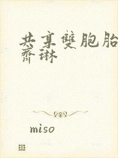 共享双胞胎齐娜齐琳