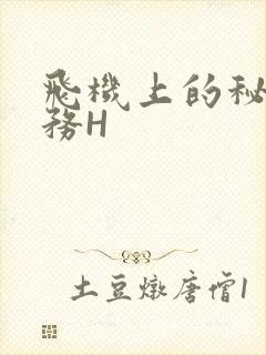 飞机上的秘密服务H