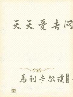 天天爱去网