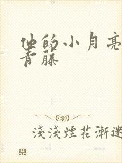 他的小月亮by青藤