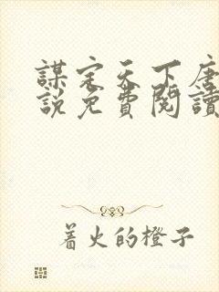 谋定天下唐诚小说免费阅读