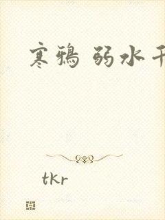 寒鸦 弱水千流