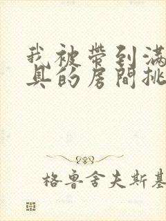 我被带到满是玩具的房间挑调作文