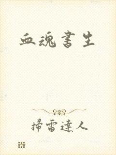 血魂书生封面