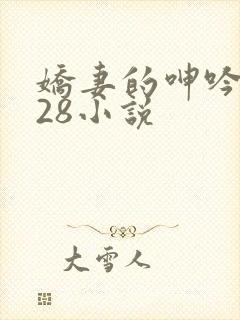 娇妻的呻吟1—28小说