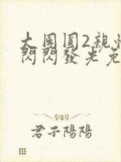 大团圆2亲情会闪闪发光免费