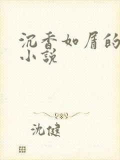 沉香如屑的原著小说