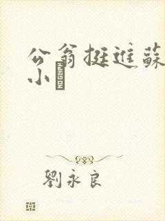 公翁挺进苏玥的小泬