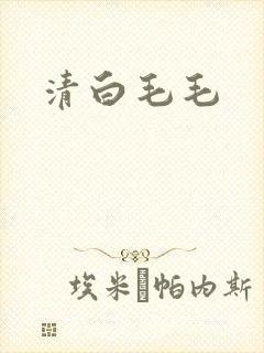 清白毛毛