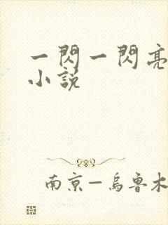 一闪一闪亮星星小说