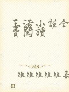 王浩小说全文免费阅读