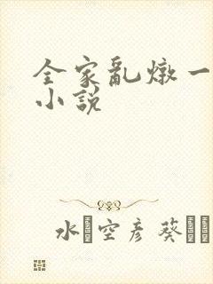 全家乱炖一锅烩小说