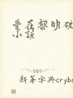 爱在黎明破晓前小说