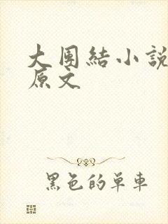 大团结小说阅读原文