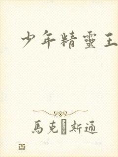 少年精灵王