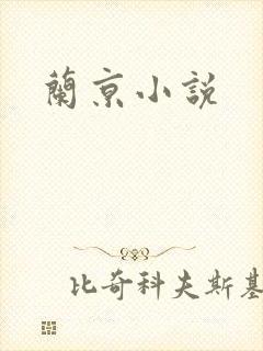 兰京小说