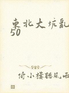 东北大坑乱1—50封面