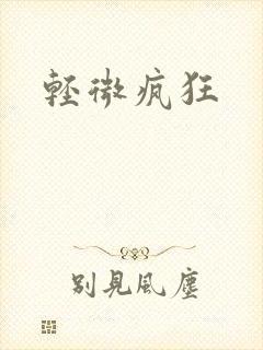 轻微疯狂封面
