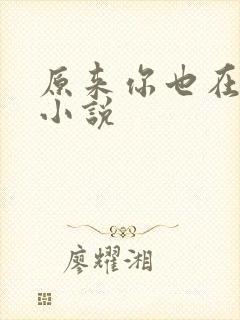 原来你也在这里小说