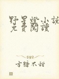 野星灯小说全文免费阅读封面