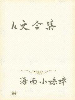 h文合集