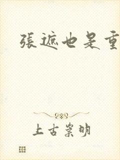 张遮也是重生吗