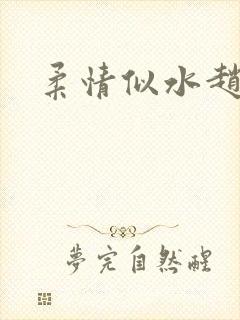 柔情似水赵雅儿