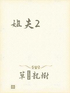 姐夫2