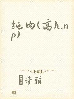 纯肉(高h.np)