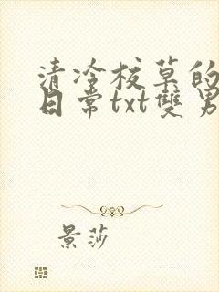 清冷校草的抹布日常txt双男主