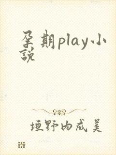孕期play小说