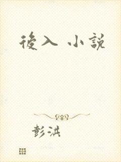 后入 小说