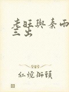 老旺与秦雨三进三出