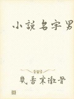 小说名字男生