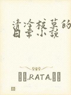 清冷校草的堕落日常小说