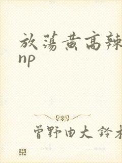 放荡黄高辣h文np