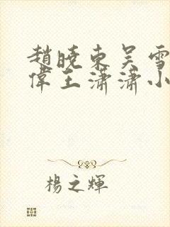 赵晓东吴雪晴郑伟王潇潇小说名字