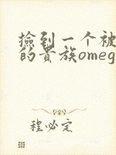 捡到一个被抹布的贵族omega