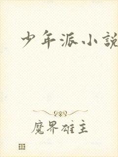 少年派小说