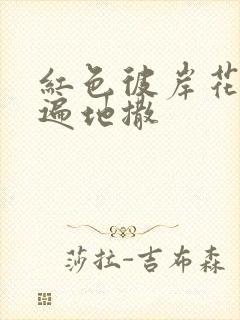 红色彼岸花花瓣遍地撒