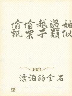 偷偷越过她by甄栗子类似小说