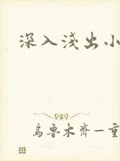 深入浅出小说
