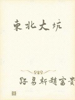东北大坑封面