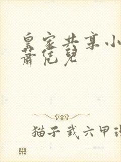 皇家共享小公主萧凭儿