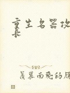 重生名器攻略兄长