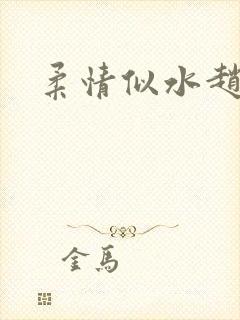 柔情似水赵雅儿