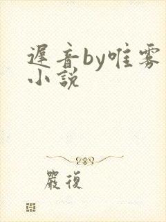 迟音by唯雾的小说