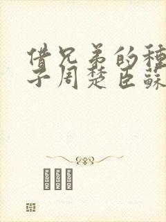 借兄弟的种生孩子周楚臣苏糖