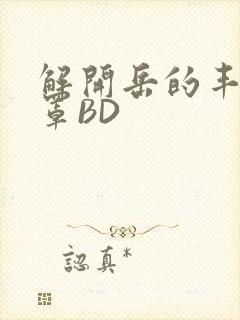 解开岳的丰满奶罩BD