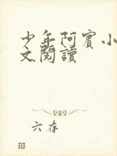 少年阿宾小说全文阅读